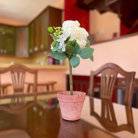 Tatil Evi Heart Palm-mar